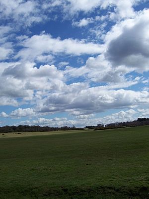 Open Field Sutton Park 2