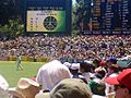 Packed Adelaide Oval
