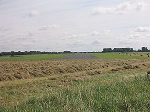 RAF Watton runway