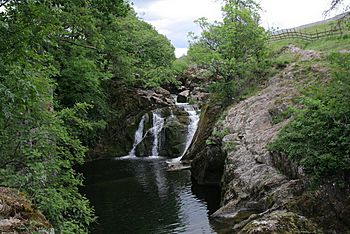 A small waterfall on a Beck surrounded by limestone crags and trees