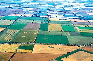 CSIRO ScienceImage 4704 Aerial view of mixed crops at Coolamon NSW 1999