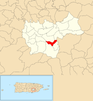 Location of Culebras Bajo within the municipality of Cayey shown in red