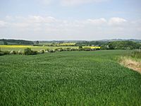 Danesmoor (site of the Battle of Edgcote) - geograph.org.uk - 815349.jpg
