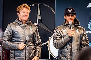 Hamilton and Rosberg 2014