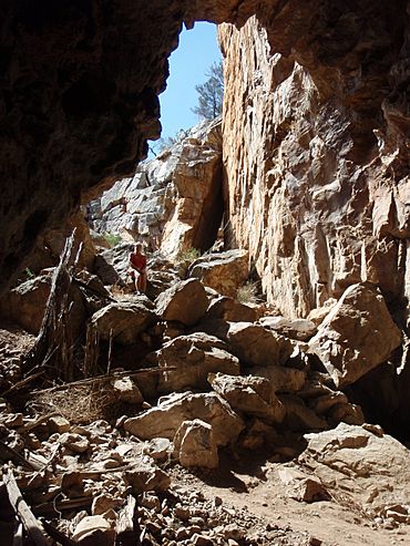 Jingemia Cave 2 - panoramio.jpg