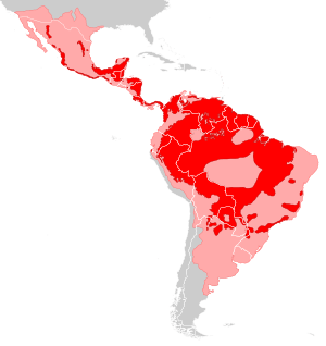 Panthera onca distribution.svg