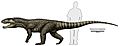 Postosuchus kirkpatricki