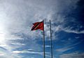Trinidadflag