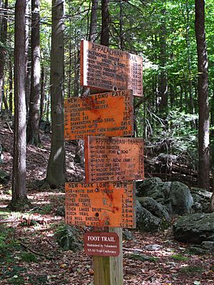 Crossing of Appalachian Trail and Long Path (2013)