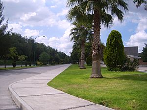 Cruz Azul Avenue