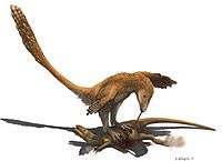 Deinonychus (Raptor Prey Restraint)