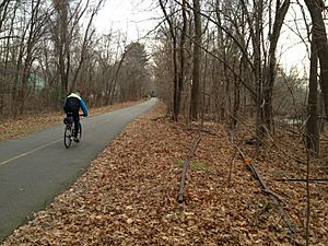 Minuteman Bikeway with old tracks.agr