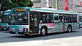 Entetsu bus 175 ISUZU ERGA type-B(KL-LV834N1).jpg