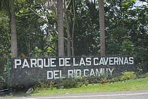 An entrance to the Camuy River Cave Park in Callejones
