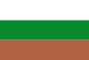 Flag of Sáchica