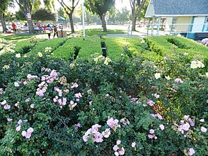 Hayward area recreation and park district topiary
