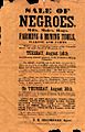 Sale of negroes 1860