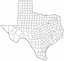 Location of Palmer, Texas
