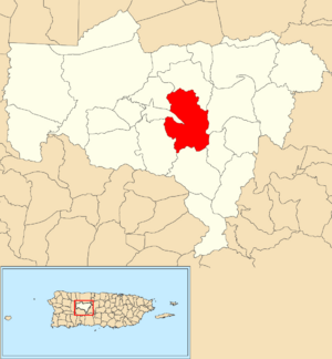 Location of Viví Abajo within the municipality of Utuado shown in red