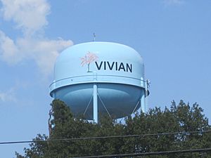 Vivian water tower