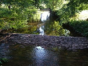 Weir on River Yeo at Fordton - geograph.org.uk - 201649