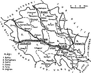1938 map of interwar county Iasi