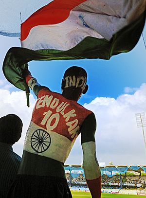 A Cricket fan at the Chepauk stadium, Chennai