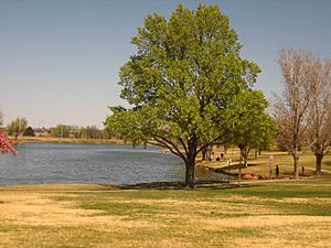 Amarillo pond IMG 0153