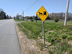 Amish horse and buggy warning sign, April 2018.