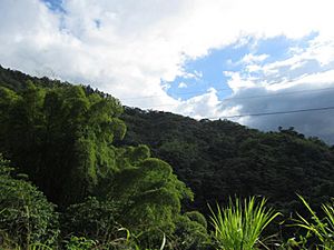 Mountains in Pellejas
