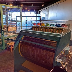 Colorful CuriOdyssey science exhibits
