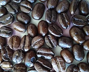 Equal Exchange coffee beans