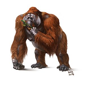 Gigantopithecus1