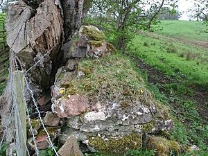 Hadrian's Wall unrestored - geograph.org.uk - 3588491 - cropped
