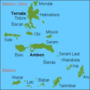 Maluku Islands international