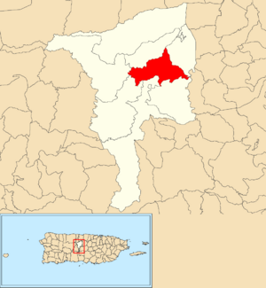 Location of Pesas within the municipality of Ciales shown in red