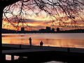 Sunset Charles River Boston