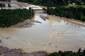 Toutle River in flood.jpg