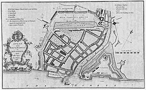 'Plan of the Town and Harbour of Kingston Upon Hull from actual survey by A. Bower, 1786