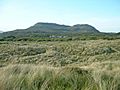 Ancient dunes, near Porthmadog - geograph.org.uk - 11427