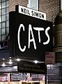 Cats at Neil Simon Theatre in Broadway
