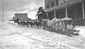Dog sled team and driver, with cargo, Seward, ca 1914 (THWAITES 240)
