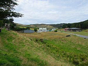 Kaitangata land and houses
