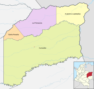 Mapa de Vichada (político)