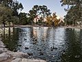 Reid Park Duck Pond
