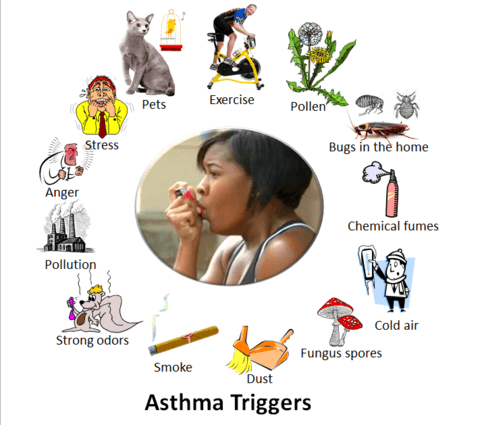 Asthma triggers 2