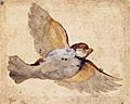 Giovanni Da Udine - Study of a Flying Sparrow - WGA09431