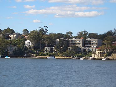 Henley Parramatta River.JPG