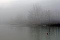 Nebbia sul fiume Secchia a Campogalliano