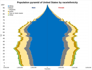 Population pyramid of the United States by race-ethnicity in 2020